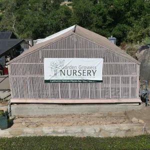 Garden Growers Lath House before start of repairs, looking west from Courtyard