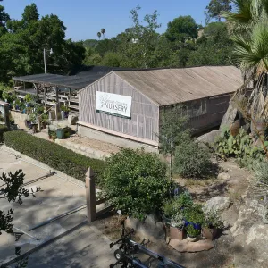 Garden Growers Lath House before start of repairs, looking southwest