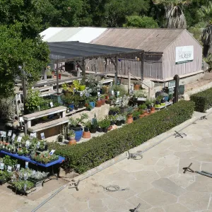 Garden Growers Lath House before start of repairs, looking northwest