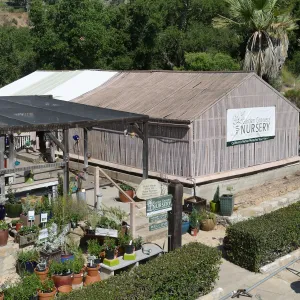 Garden Growers Lath House before start of repairs, looking northwest