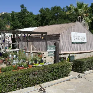 Garden Growers Lath House before start of repairs, looking northwest