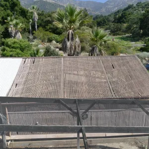 Garden Growers Lath House before start of repairs, southeast portion of roof
