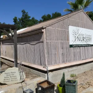Garden Growers Lath House before start of repairs, looking northwest