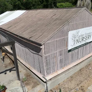 Garden Growers Lath House before start of repairs, looking northwest