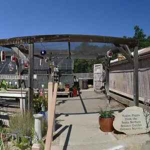 Garden Growers Lath House before start of repairs