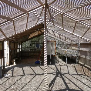 Garden Growers Lath House before start of repairs. Interior looking west