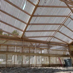 Garden Growers Lath House before start of repairs. Interior south wall and roof.