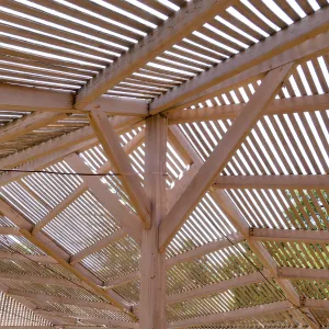 Garden Growers Lath House before start of repairs. Interior roof support detail.