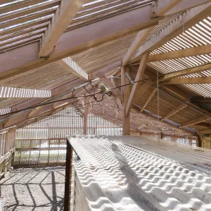Garden Growers Lath House before start of repairs. Interior view from northwest corner.