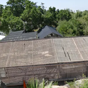 Garden Growers Lath House before start of repairs. North side of roof.