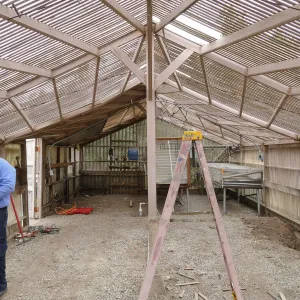 Garden Growers Lath House at start of repairs. Interior looking west.
