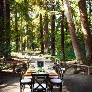 Garden to Table Dinner in the Redwoods 2017