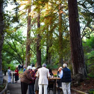 Garden to Table Dinner in the Redwoods 2017