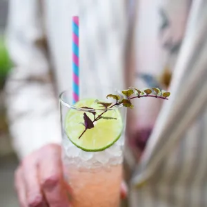 Garden to Table Dinner in the Redwoods 2017, Strawberry Yerba Buena Swizzle