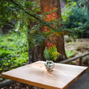 Garden to Table Dinner in the Redwoods 2017