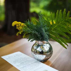 Garden to Table Dinner in the Redwoods 2017