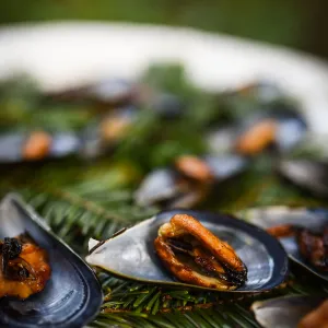 Garden to Table Dinner in the Redwoods 2017, mussel appetizer