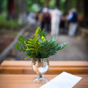 Garden to Table Dinner in the Redwoods 2017