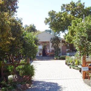 Blaksley Library, north face and courtyard