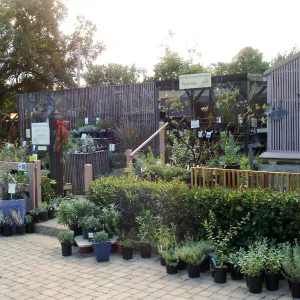 Garden Growers Nursery