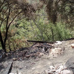 Home Demonstration Deck area after Jesusita Fire