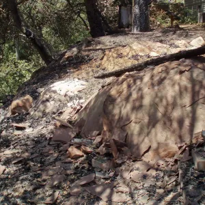 Home Demonstration Deck area after Jesusita Fire