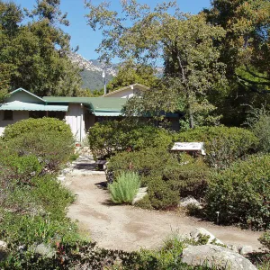 South side of Cottage and Manzanita Section