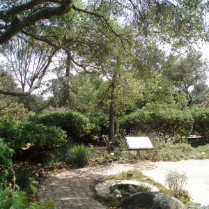 Home Demonstration Garden looking south along path on east side of Cottage