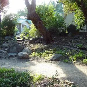 Looking west across Arroyo Section towards Cattage and Herbarium