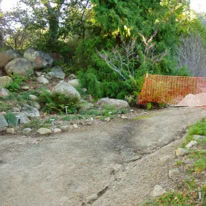 Discovery Garden construction
