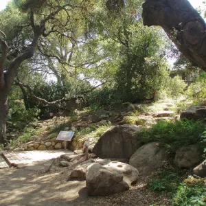 Discovery Garden