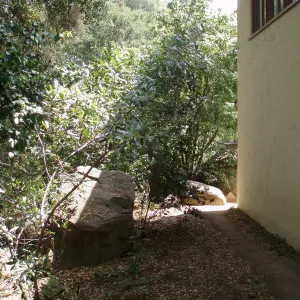 Boulder on east side of Herbarium