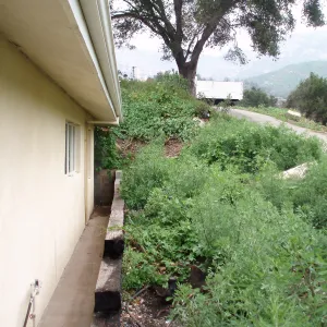 Hortuculture Unit, east side