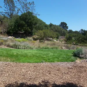 Meadow