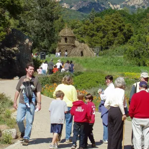 Visitors, Meadow, Toad Hall