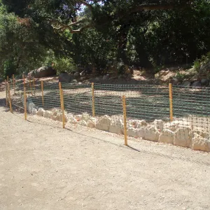 Meadow Terrace construction