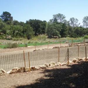 Meadow Terrace construction