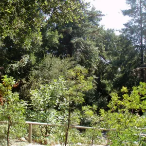 Looking south from the top of the Arroyo Section