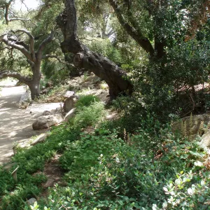 Arroyo Section