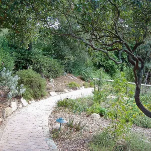 Northeast corner of the Arroyo Section, looking south