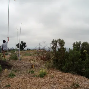 Pritzlaff Conservation Center story poles