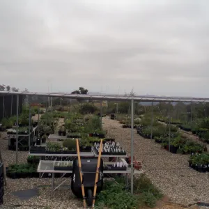 Pritzlaff Conservation Center story poles, view from Garden Growers Canyard