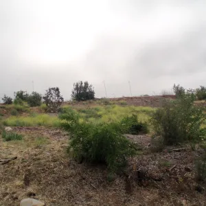Pritzlaff Conservation Center story poles, view from Mission Canyon Road
