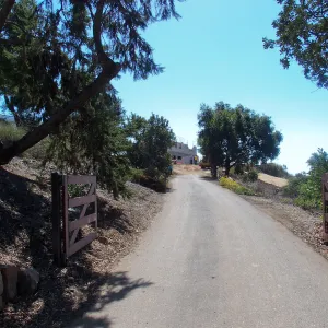 Pritzlaff Conservation Center construction, view up driveway