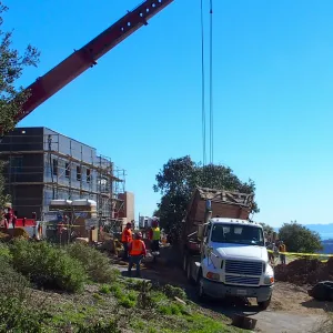 Installation of Island Oaks, flanking the entrance to the new Island Section at the Pritzlaff Conservation Center