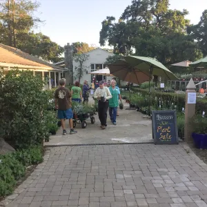 2017 Fall Plant Sale Preview Party