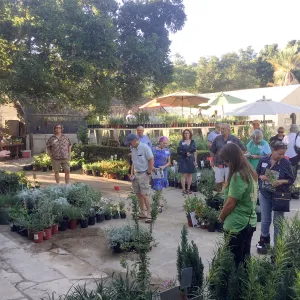 2017 Fall Plant Sale Preview Party