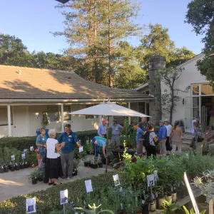 2017 Fall Plant Sale Preview Party