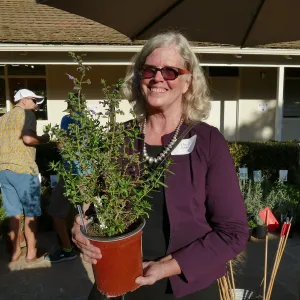 2017 Fall Plant Sale Preview Party