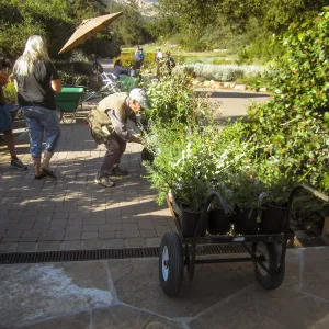 2017 Fall Plant Sale Preview Party